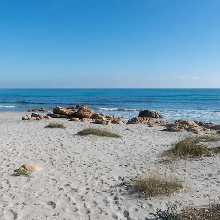 I Pini Di Fuile 'e Mare Lägenhet